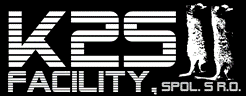 Primary Raster logo